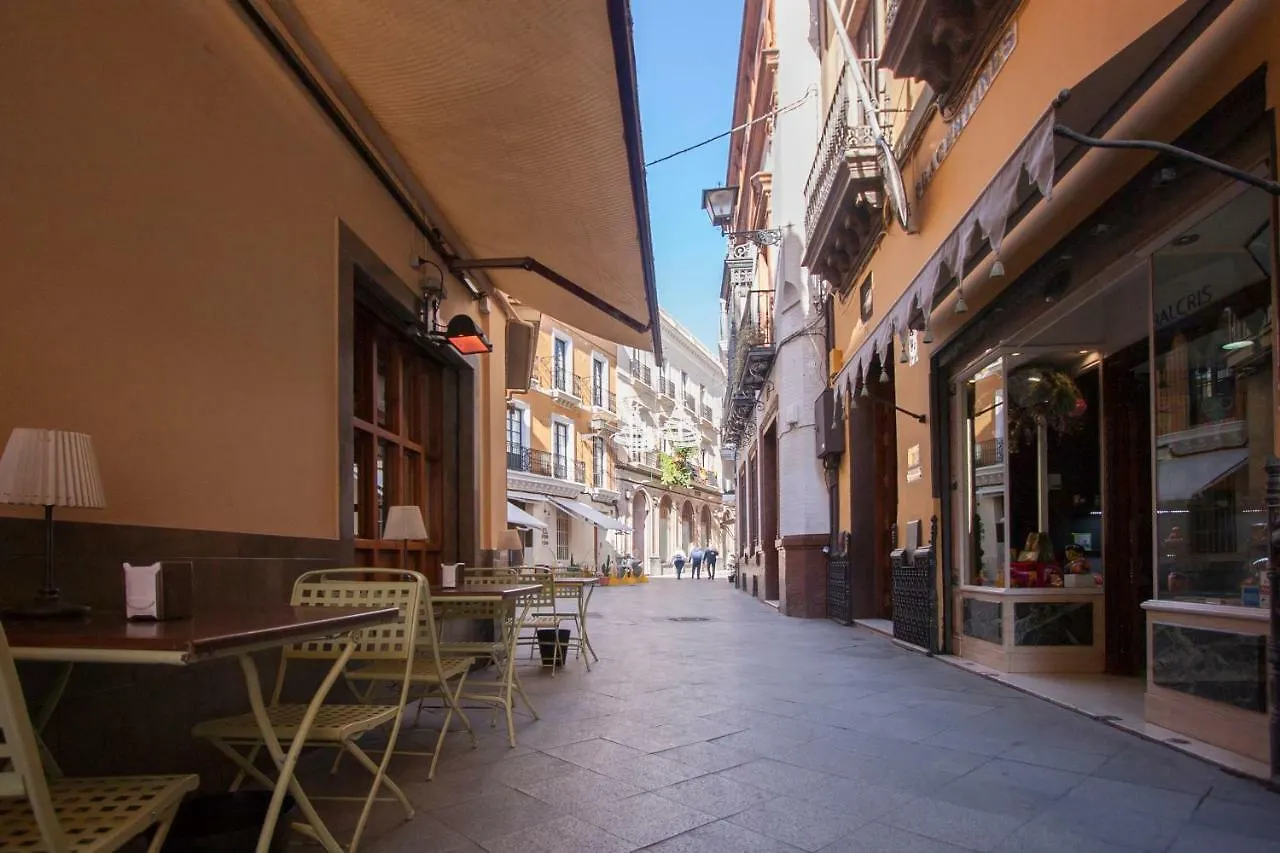 Bamberg Duplex Terrace Apartment Seville